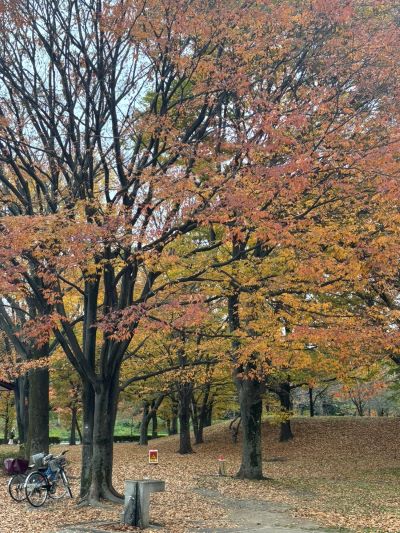 舎人公園へお出かけ