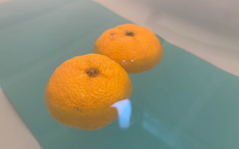 ゆず湯🍊にかぼちゃ