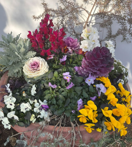 大泉公園へお散歩