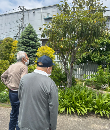 季節の花を楽しみながら、近所の公園へお散歩♪